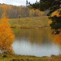 Золотая осень :: Владимир Кириченко Золотая осень :: Владимир Кириченко