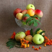 Дары осени. :: Любовь Сахарова