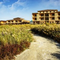 Дорога :: Анатолий Чикчирный