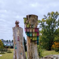 Общежитие :: Валерий Пославский