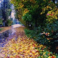 В осенний денёк :: Людмила Смородинская