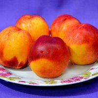 Нектарины :: Владимир Помазан