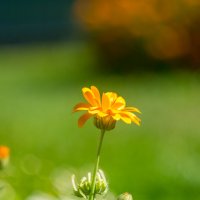 ___ :: Yuriy V ___ :: Yuriy V