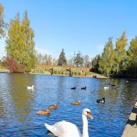 Октябрьский день на Крестовском. :: Ольга 