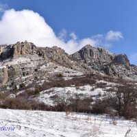Природа Крыма :: Amazing Cosmea