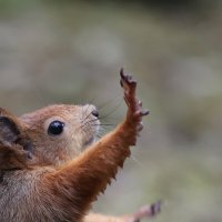 Удар :: Александр Кондаков