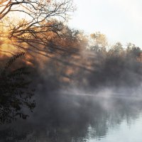 *** :: Игорь Протасов