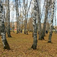 Парк с позолотой и белкой в конце октября . :: Мила Бовкун