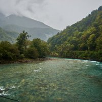 Озеро рица возле :: Александр Леонов