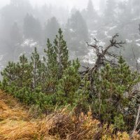 Осень в горах :: Владимир Колесников