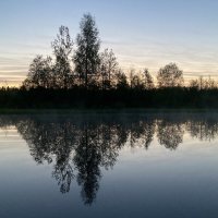 Отражение :: Ольга Савельева 