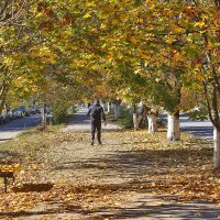 Осенняя аллея :: Юрий Гайворонскiий Осенняя аллея :: Юрий Гайворонскiий