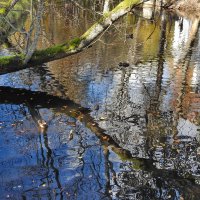 осень :: ИННА ПОРОХОВА