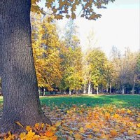 осень :: Гульфина Булатова