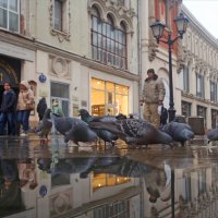 4 ноября Никольская :: Михаил Бибичков 4 ноября Никольская :: Михаил Бибичков