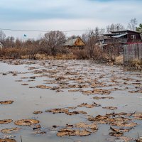 Озеро с Лотосами :: Игорь Волков