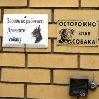 Пробовал дразнить - молчит, собака! :: Егор Бабанов