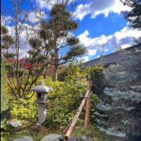 Краснодар. Парк Галицкого . Японский сад :: Galina Краснодар. Парк Галицкого . Японский сад :: Galina