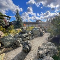 Краснодар. Парк Галицкого . Японский сад :: Galina 