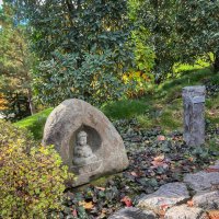 Краснодар. Парк Галицкого . Японский сад :: Galina 