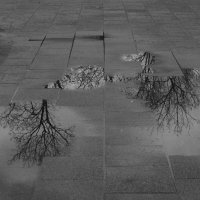 Отражение в воде :: Мария Яковлева