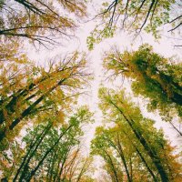 Ноябрь :: Евгений П.