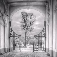 *** :: Сергей Григорьев *** :: Сергей Григорьев