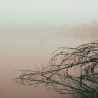 .... :: Котовский