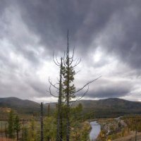 Устремленные ввысь :: Марина Фомина.