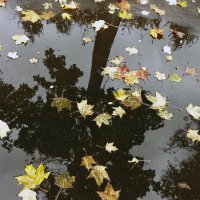 *** :: Валентина Береснева