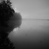 Нега Пробуждения :: Валерий Кехтер