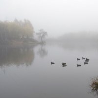 Туман :: Владимир Безбородов Туман :: Владимир Безбородов