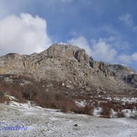 Природа Крыма :: Amazing Cosmea