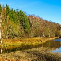 Осень в ноябре. :: Милешкин Владимир Алексеевич Осень в ноябре. :: Милешкин Владимир Алексеевич