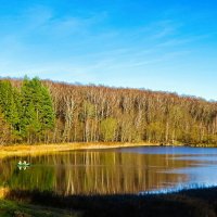 Рыбаки на озере (репортаж из поездок по области). :: Милешкин Владимир Алексеевич Рыбаки на озере (репортаж из поездок по области). :: Милешкин Владимир Алексеевич