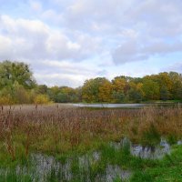 Озеро Лесное, Калининград :: Рита Симонова