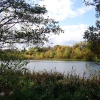 Озеро Лесное, Калининград :: Рита Симонова Озеро Лесное, Калининград :: Рита Симонова