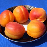 Абрикосы :: Владимир Помазан