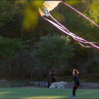 Змей :: **** vedin