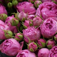 * * * :: Алёна Савина * * * :: Алёна Савина