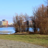 Левый берег Оби :: Татьяна Лютаева