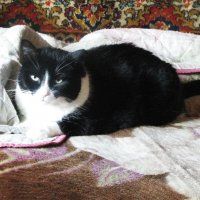 Я проснулся :: Людмила Смородинская