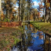 осень :: ИННА ПОРОХОВА