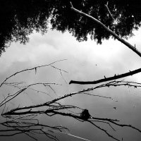 Фотография :: Денис Безногов