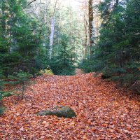 Гузерипль :: Сергей Запорожцев