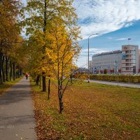Аллея около завода :: Александр Синдерёв Аллея около завода :: Александр Синдерёв