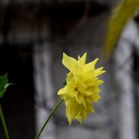 *** :: Павленко Михаил 