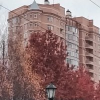 Дуб остролистный в ноябре :: Дмитрий Никитин Дуб остролистный в ноябре :: Дмитрий Никитин