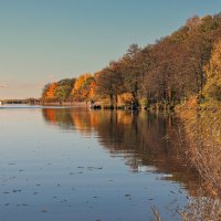 Дубки :: skijumper Иванов