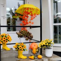 Осенний антураж :: Галина Бобкина